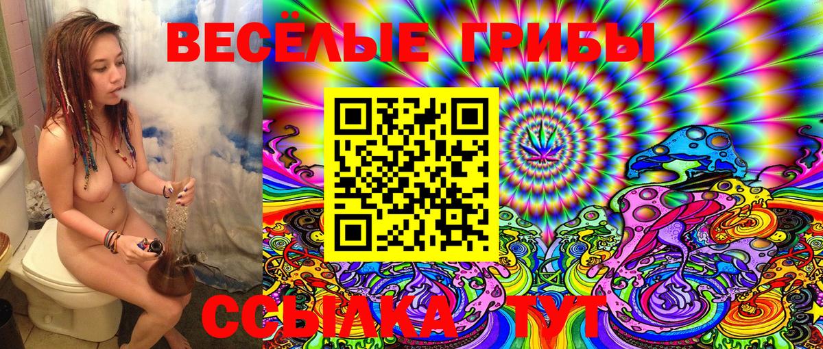 Орехово-Зуево  Псилоцибиновые грибы Cubensis  Вход с VPN 
